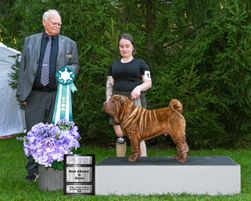 Cooper and Jenna win Best Altered in Show 